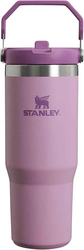 Stanley IceFlow - Vaso de acero inoxidable, botella de agua aislada al vacío para el hogar, la oficina o el automóvil, reutilizable, con pajilla, resistente a fugas, se puede voltear durante 12 horas